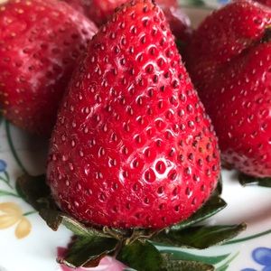 Meet your Posher, Quinn